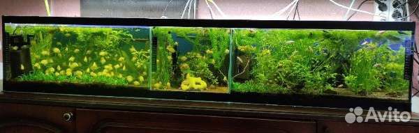 Аквариумы, фильтра, компрессоры и прочее