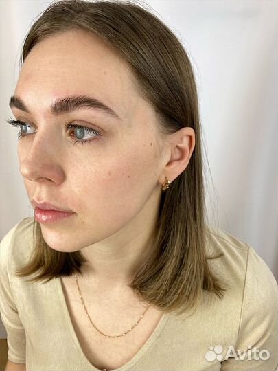 Брови Северск