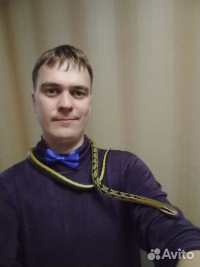 Аренда змей час, день, неделя. Фотосессия