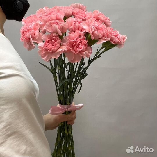 Гвоздики сортовые розовые