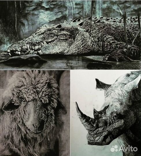 Картины (графика)