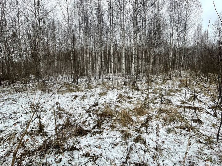 Участок 17 сот. (СНТ, ДНП)