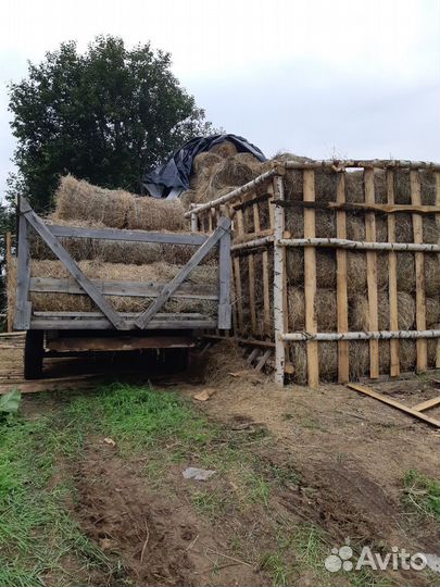 Сено в мини рулонах