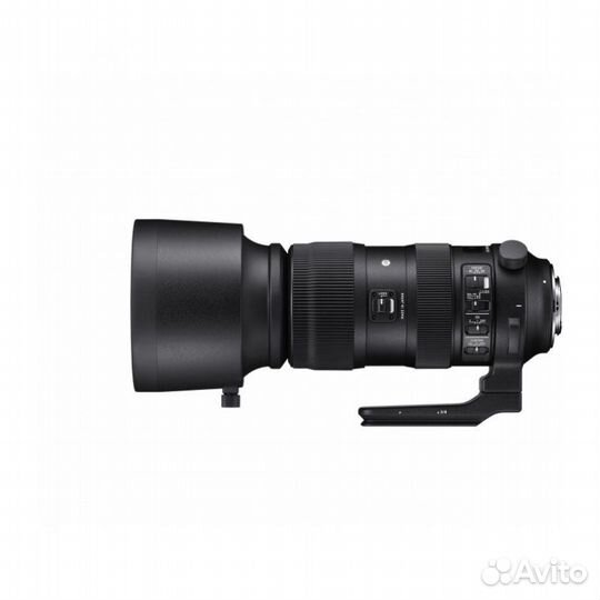 Sigma AF 60-600mm f/4.5-6.3 DG OS HSM Sports Canon