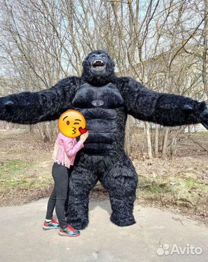 Белый мишка поздравление Кинг Конг Чебурашка