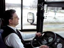 Водитель служебного автобуса