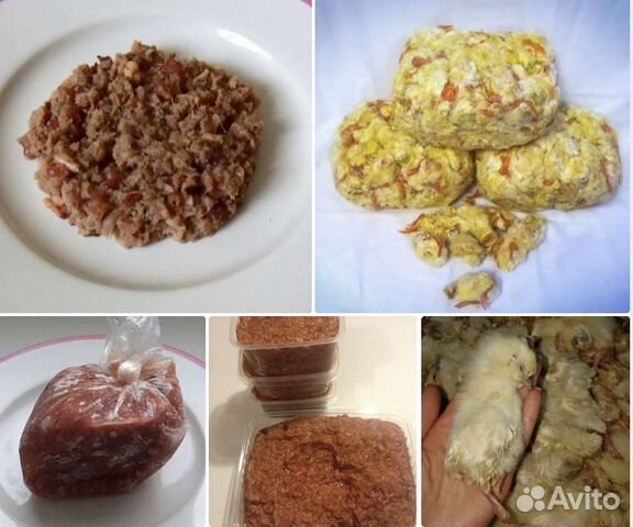 Фарш из суточных цыплят