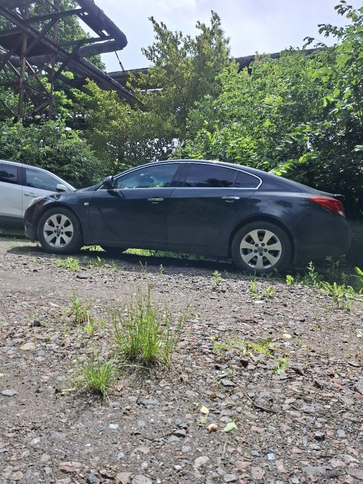 Opel Insignia: фото владельца