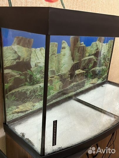 Аквариум панорамный с тумбой