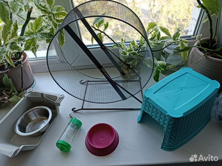 Клетка для ежа