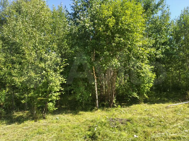 Участок 4,4 сот. (ИЖС)