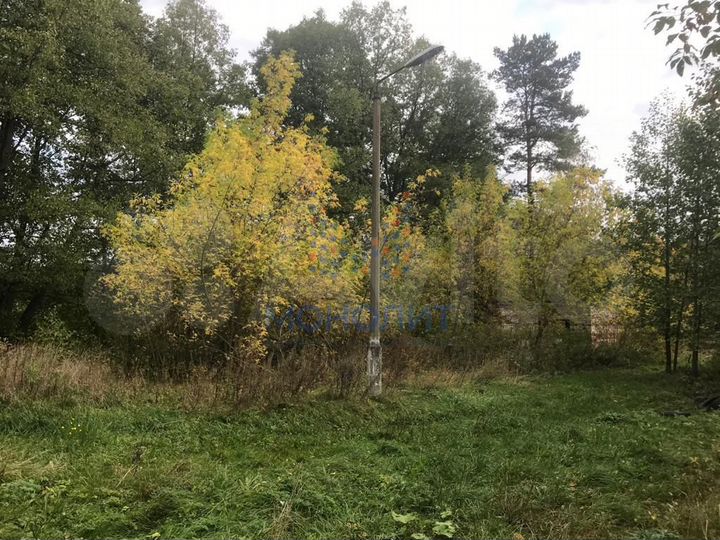 Участок 5 га (промназначения)