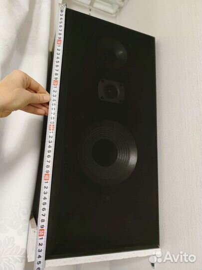 Акустика, проф. сделана под заказ, 2+1(центр)