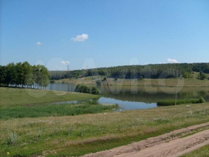 Участок 4 га (ИЖС)