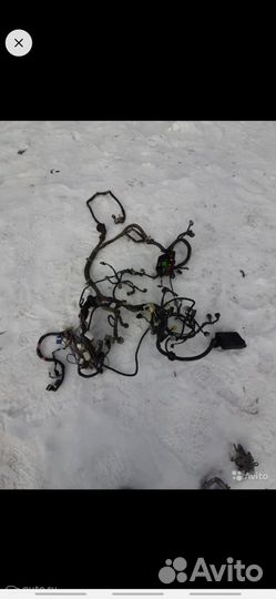 Коса (проводка) двигателя Тойота Приус, NHW11, 200