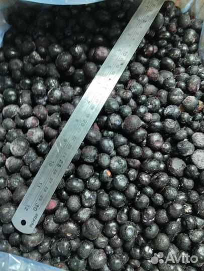 Продам свежезамороженную голубику садовую крупную