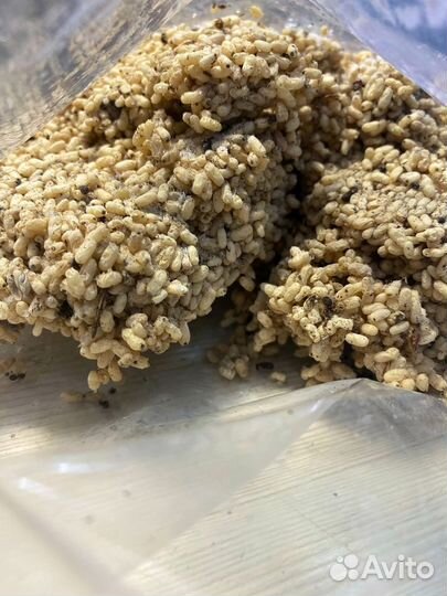 Муравьиные яйца