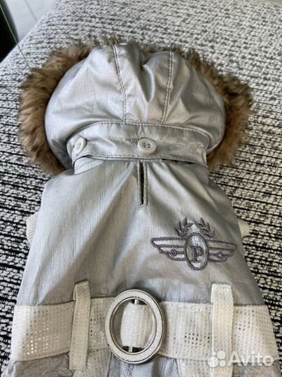 Одежда для маленьких собак xs