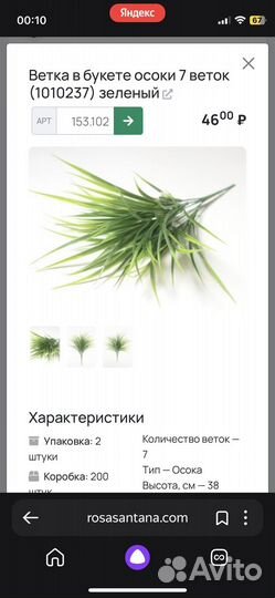 Зелень для творчества