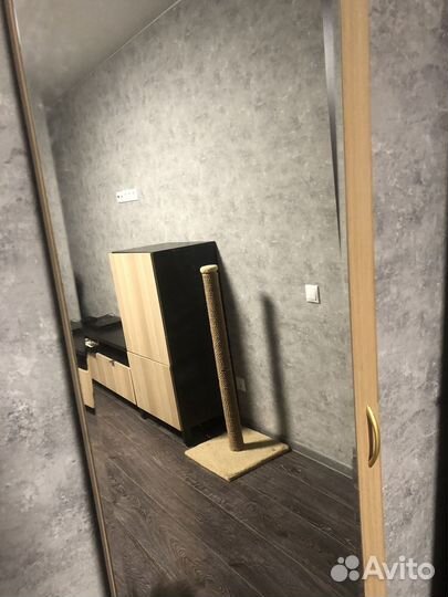 Зеркало с дверью