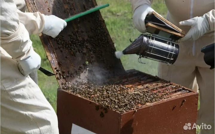 Дымокур для пчёл, инвентарь для пчеловодства