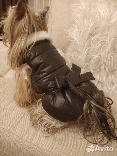 Жилетка-куртка