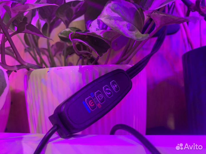 Уф лампа для растений