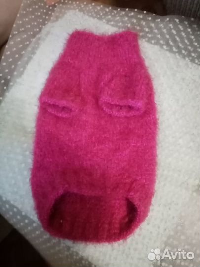 Свитер для собаки и платье