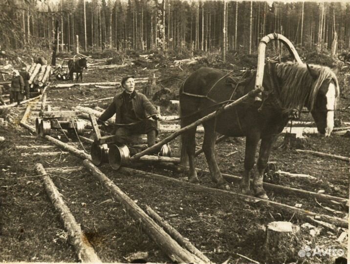 Дрова колотые