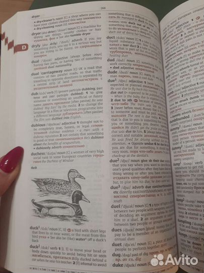 Аннло-английский-русский словарь Cambridge