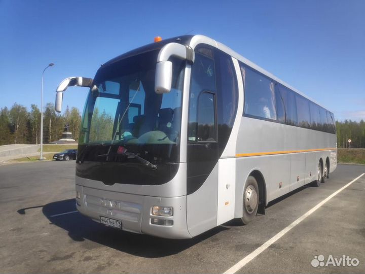 Аренда автобуса на свадьбу / спб / Ленобалсть