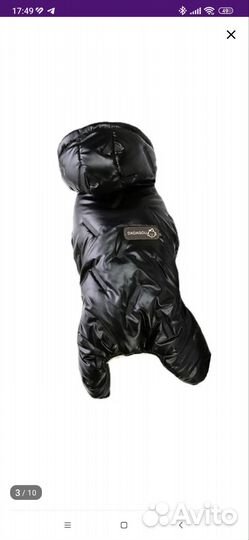 Комбинезон для собак мелких пород Arnydog