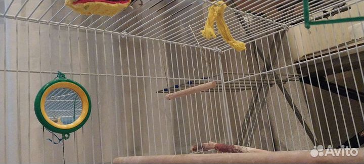 Большая клетка для попугаев
