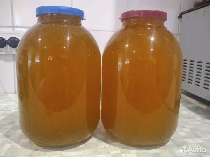 Мед разнотравье 2023