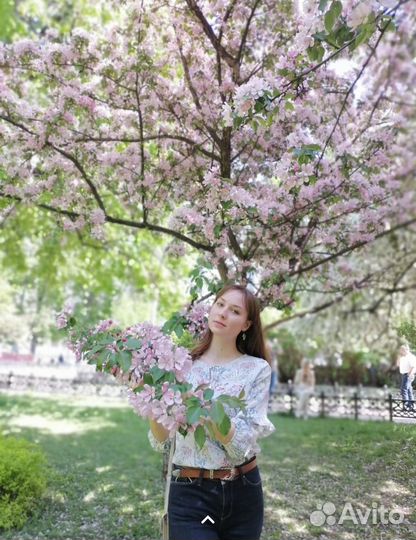 Репетитор испанского и английского