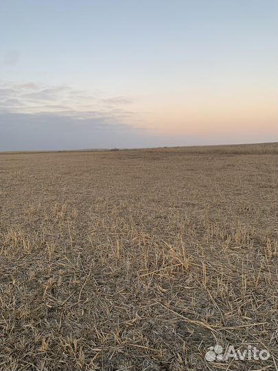 Земельный участок 204га под сегокос