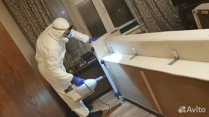 Уничтожение, обработка тараканов, клопов, блох