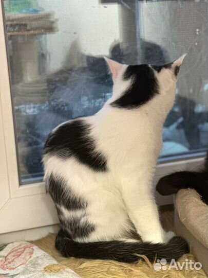 Степан 4 месяца