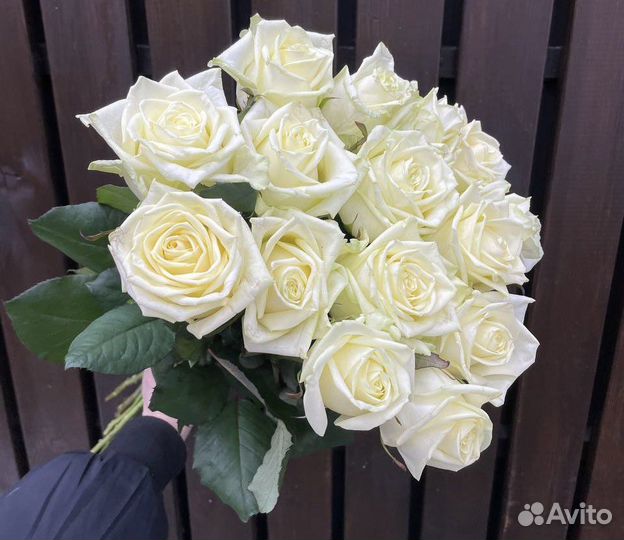 Букет роз 15 шт красивые и свежие цветы всегда