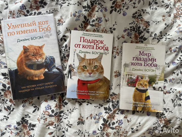 Книги кот Боб