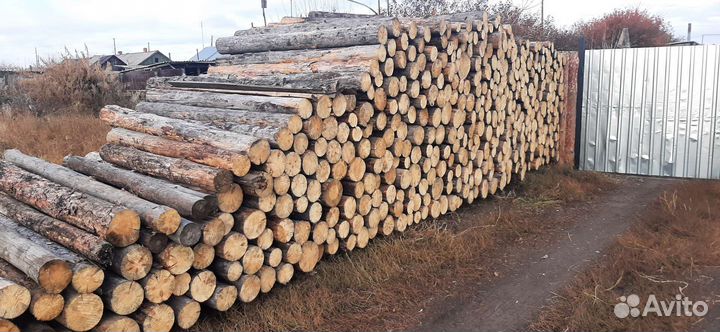 Кругляк доска