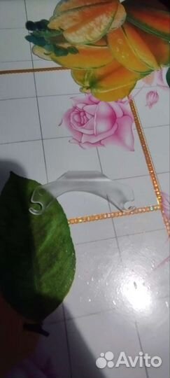 Охлаждение для телефона