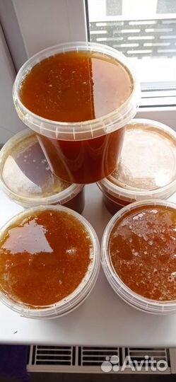 Мед Алтайский