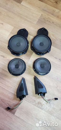 Динамик Volkswagen Passat B7