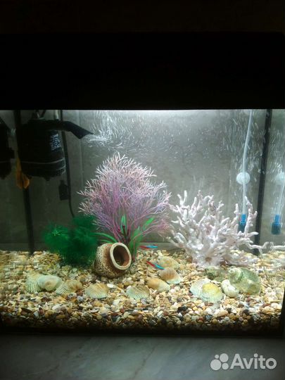 Аквариум