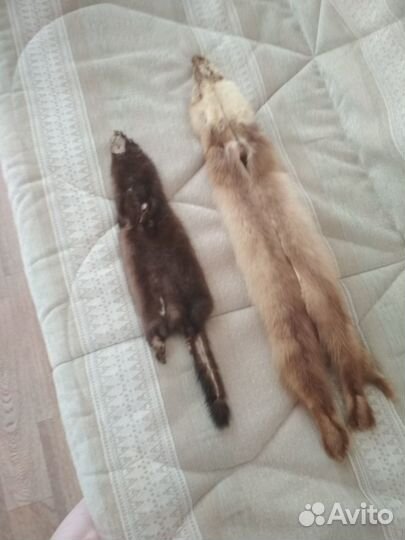 Шкурки норки и куницы