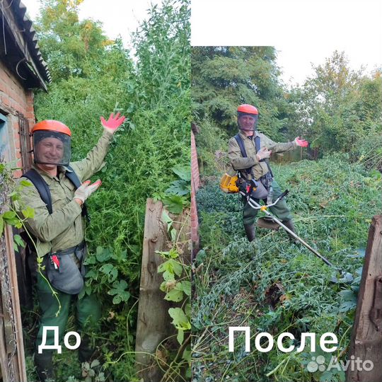 Покос травы