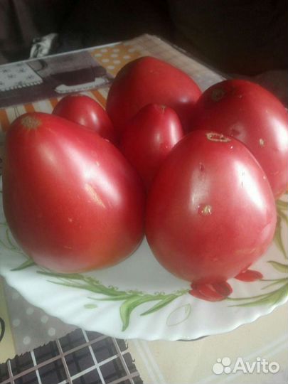 Помидоры домашние