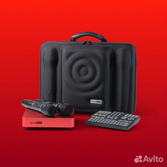 Караоке Evobox Plus рубин
