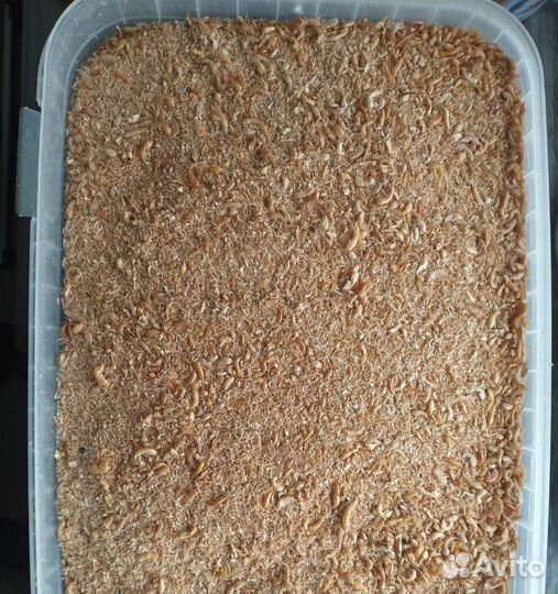 Корм для рыбы и черепах